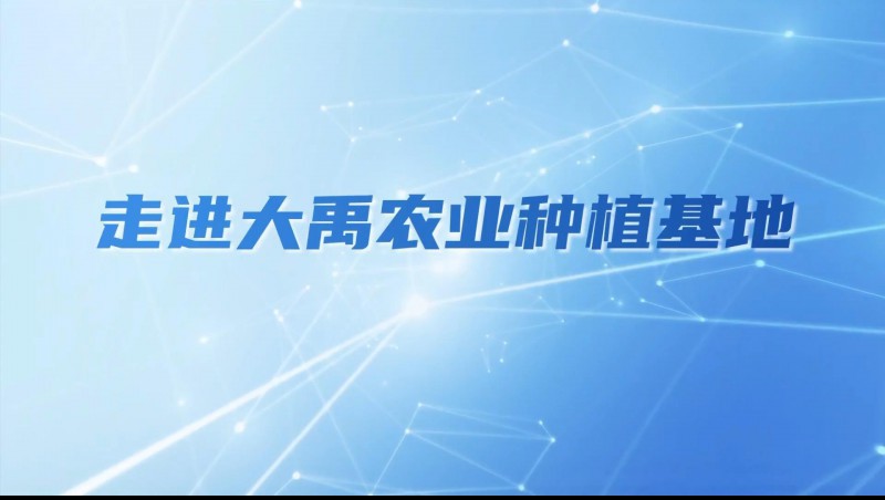 大禹农业| 多元化种植基地矩阵，探索农业现代化新路径